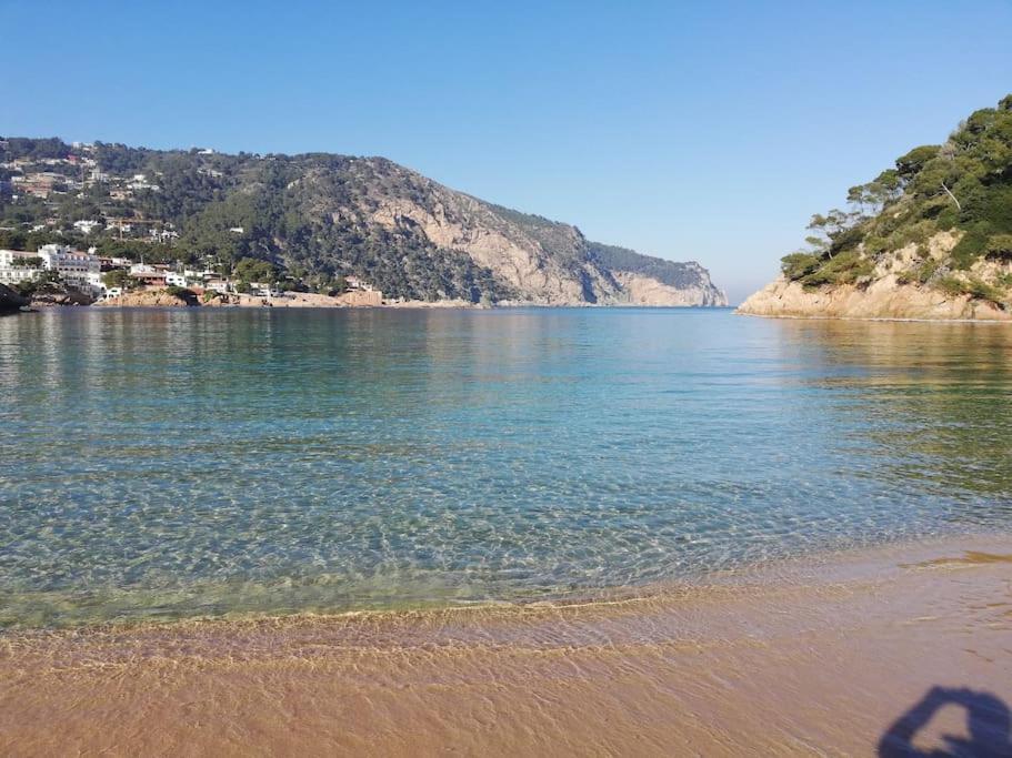 "Le Balcon De La Mer" Residence "Icaros"-Wifi-Piscine-Parking Begur Eksteriør billede
